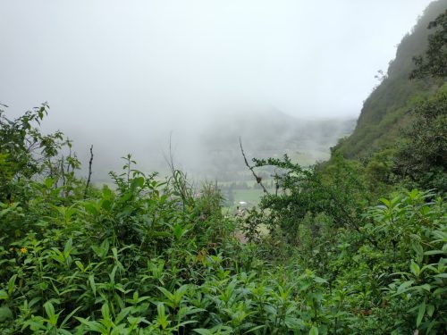 IMG_20220110_115042255_HDR