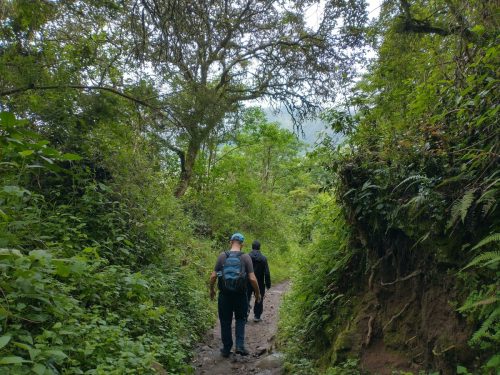 IMG_20220110_120800122_HDR