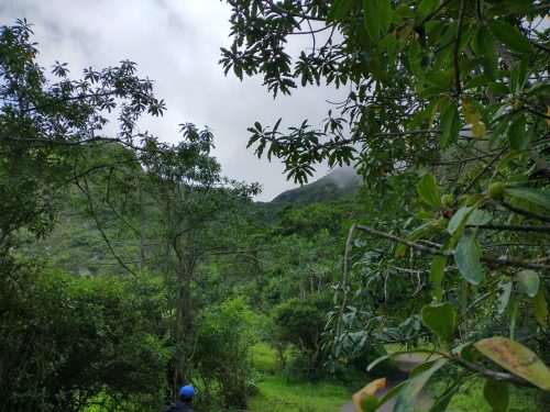 IMG_20220110_131103480_HDR