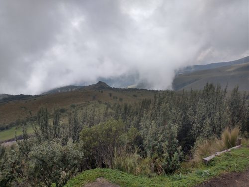 IMG_20220112_104401270_HDR