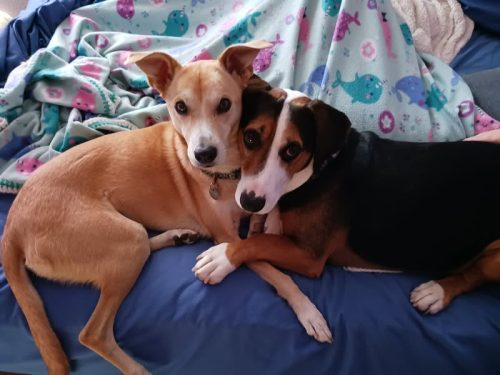 370411941 10224159292186129 1322022861781180747 n 10224159291706117 (1)