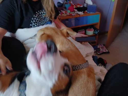 398734651 10224571586733235 631829511666497495 n 10224571586213222 (1)