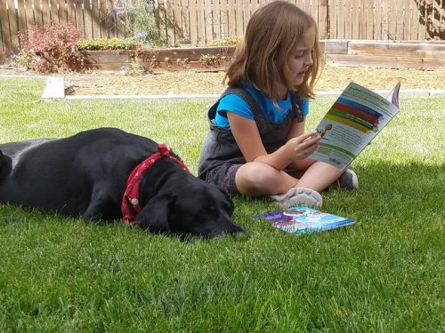 43155461 10214849432722204 6481617824514048000 n 10214849432642202 (1)