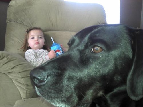 464962557 10229626945110778 667385169720331902 n 4867536399107 (1)