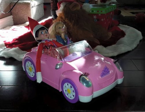 466974781 10230052061378419 7904173794167205521 n 10209327562318895 (1)