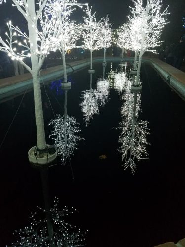 48340903 10215292778405569 7486375636152352768 n 10215292778365568 (1)