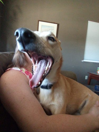 IMG 20220717 125002461 (1)