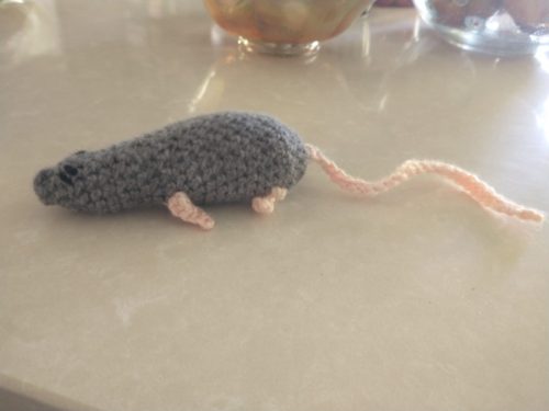 IMG 20240616 112029784 (1)