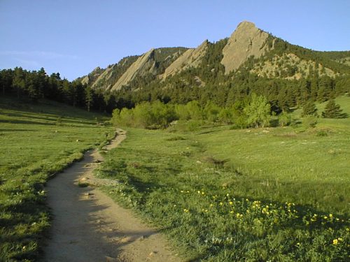 PIC00005 (1) (1) (1)